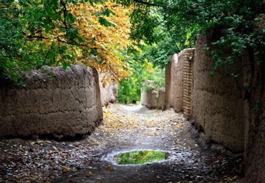 
«نوشدارو» برای «باغات» تهران
