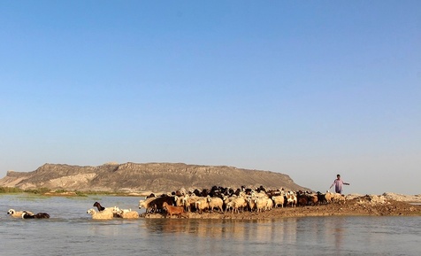دریاچه هامون 