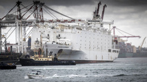 Australian Lawmaker Pushes to End Live Sheep Exports