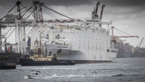 Australian Lawmaker Pushes to End Live Sheep Exports