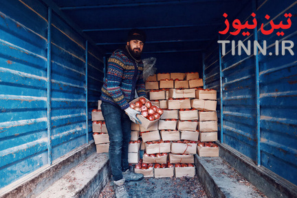 شب یلدا