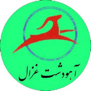 آهو دشت غزال