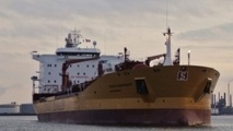 Shipowner Who Tried to Skirt Club Rules Runs Aground in Court