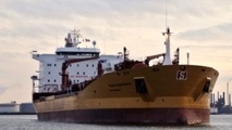Shipowner Who Tried to Skirt Club Rules Runs Aground in Court