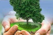 سیزده بدر ۱۴۰۵ | راهنمای کامل روز طبیعت + نکات مهم حفظ محیط زیست