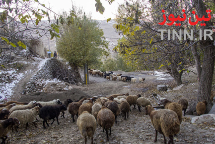 زندگی در منطقه زیبای جلفا