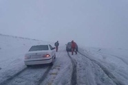 نجات و اسکان ۱۵۰ مسافر در راهدارخانه های قزوین طی بارش های سنگین اخیر