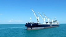 Hamburg Bulk Carriers Makes It 12
