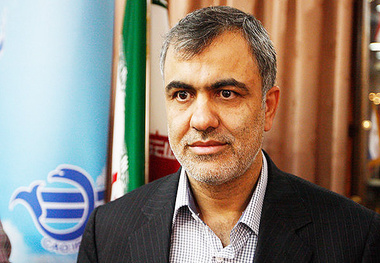شرکت های اقتصادی استان یک هواپیما برای کرمان خریداری کنند