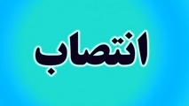 مدیر روابط عمومی کشتیرانی منصوب شد 