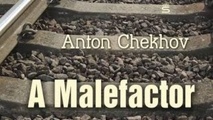 خلاصه کتاب «یک مجرم، یا متهم»، (A Malefactor)، اثر آنتوان چخوف