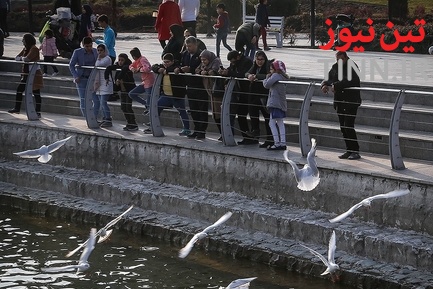 تهران؛ میزبان «پرندگان سیبری»