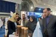  سخنگوی دولت: دانش‌ بنیان‌ ها موتور محرک اقتصاد دریامحور می‌ شوند