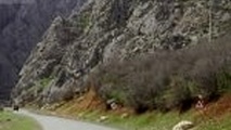 ۷۴ درصد راههای روستایی البرز آسفالت شد / ۳۰ میلیارد تومان هزینه برای آسفالت بزرگراههای البرز