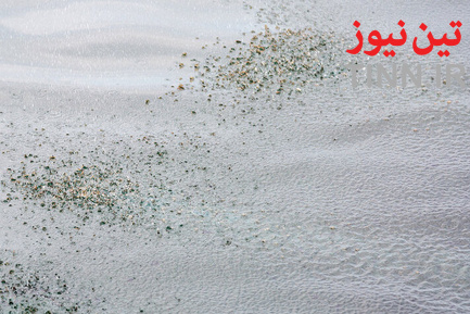 عملیات پاکسازی جزیره خارگ از آلودگی نفتی