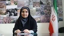 برنامه های صادق مالواجرد برای برون رفت از چالش های مسکن و حمل ونقل