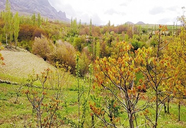 گریوان، سرزمین مهربانان
