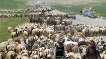 آغاز عملیات ایمن سازی جاده های عبور عشایر 