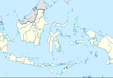 Japan, Indonesia consider ship LNG power generation to islands