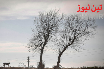 حاشینه‌نشینان جنوب تهران