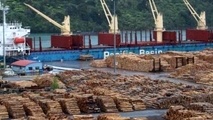Maritime NZ inspects stevedore operations for health and safety