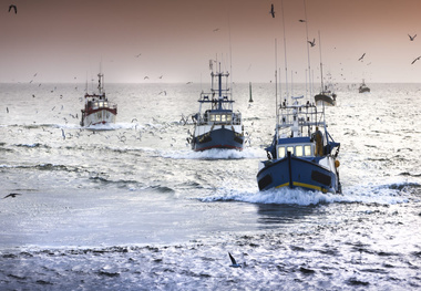 EU proposes measure to protect deep-sea species in North-East Atlantic