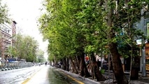 خیابان ولیعصر ثبت جهانی می شود
