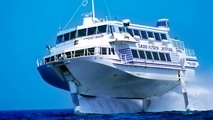 Over 80 Injured as High-Speed Hydrofoil Ferry Hits Whale in Japan