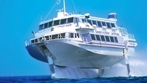 Over 80 Injured as High-Speed Hydrofoil Ferry Hits Whale in Japan