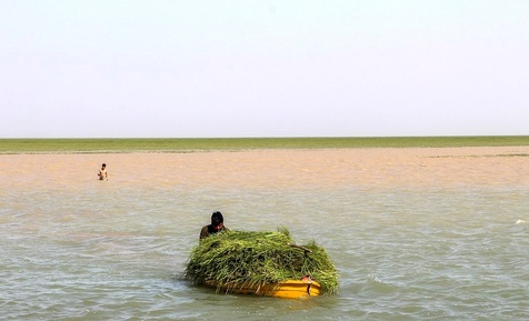 دریاچه هامون 
