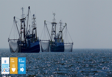 Six Illegal Foreign Fishers in Australian Waters Plead Guilty