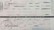 شرکت های حمل و نقل چگونه قوانین را دور می زنند؟+ سند
