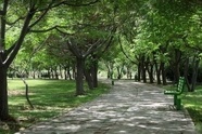 آماده سازی بوستان های شمال پایتخت برای شرایط اضطراری 