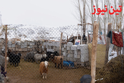 وضعیت زلزله زدگان بخش قطور شهرستان خوی
