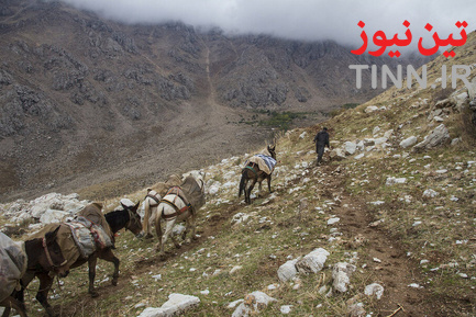 کولبر