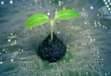Digitalization and Environment: Friends or Foes in the Maritime World