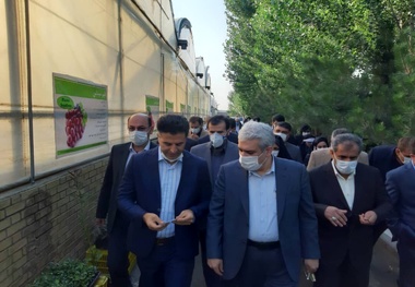 بازدید معاون رئیس جمهوری از یک شرکت دانش بنیان قزوین
