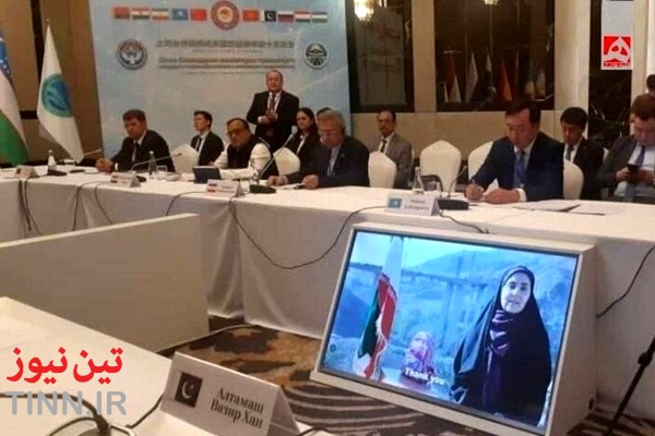 اقدام قابل توجه فرزانه صادق: انجام سخنرانی اجلاس شانگهای روی پل B1 کرج
