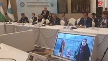 اقدام قابل توجه فرزانه صادق: انجام سخنرانی اجلاس شانگهای روی پل B1 کرج