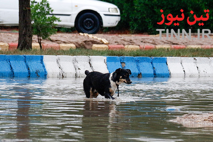 آبگرفتگی معابر در آبادان