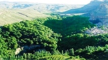 اسطرخی بهشت گمشده شیروان