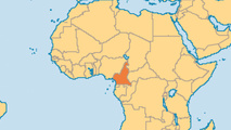 IMO focuses on maritime security strategy for Cameroon