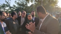 خانم وزیر  100 روز در محاصره نمایندگان پرتوقع مجلس!

