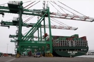  EU Soft Wheat Exports for 2025/26 Down 5%