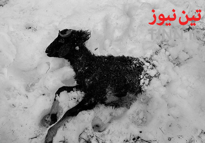 بحران برف در گیلان پس از شش روز