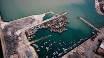 Bushehr earns $68m out of exports to Qatar in 6 months