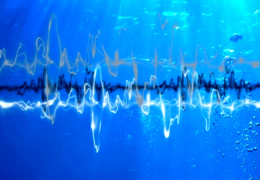 European countries must take action to reduce underwater noise, report says