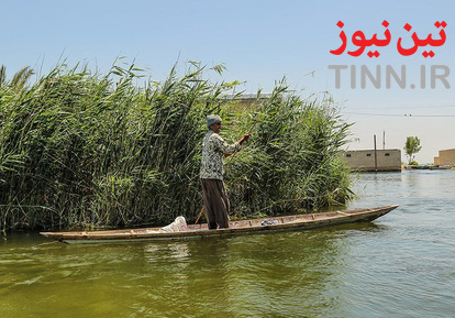 زندگی در تالاب شادگان