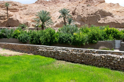 ازمیغان