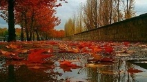 دمای هوا در اکثر استان‌ها کاهش می‌یابد